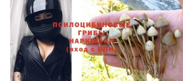 соль ск Бронницы