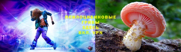 PSILOCYBIN Володарск